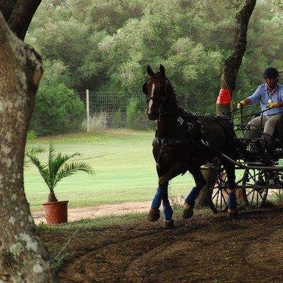 Felipe Llorente Olazabal